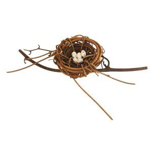 Natural Grapevine Nest With 5 Speckled Eggs DIY Decor For Crafts & Wreaths